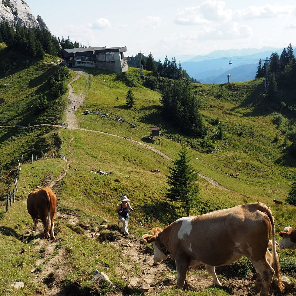 OberbayernMitte5090_Taubenstein - Alpenbahnen Spitzingsee - Stankiewicz Thomas (1)