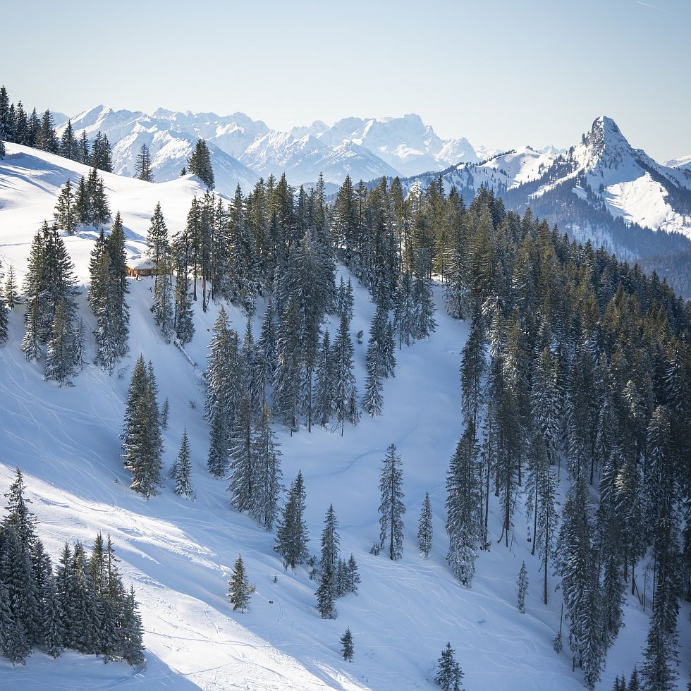 Wallberg_Dietmar Denger-37