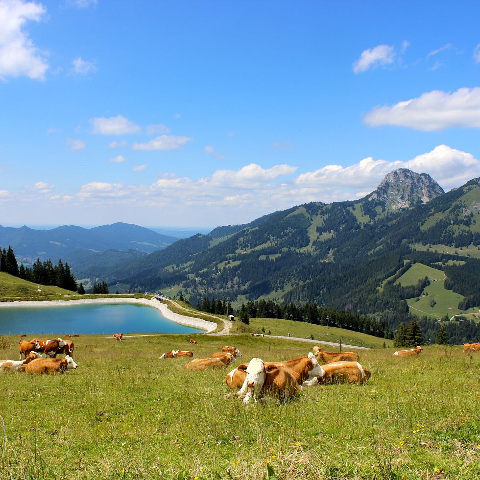 Walleralmsee_Sommer_5