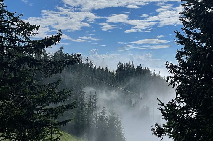 Ein nebeliger Wald mit dichten Nadelbäumen und einer Lichtung. Der Himmel ist blau mit Wolken, und die Sonne scheint durch den Nebel hindurch.